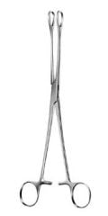 Ring Forceps ( Over Pensi )