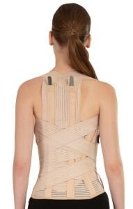 Dorsolomber Korse (Trokolomber)